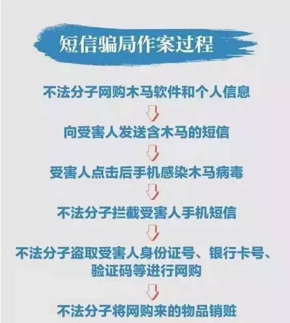 警惕虚假宣传，精准四肖背后的系统管理执行,7777788888精准四肖;警惕虚假宣传-系统管理执行