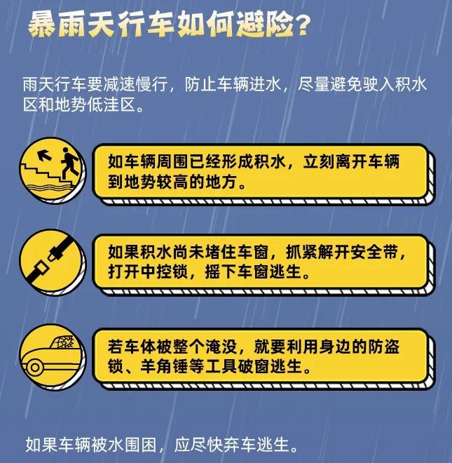 警惕虚假宣传，正确获取新澳2025精准正版资料,新澳2025精准正版免費資料,警惕虚假宣传,全面解释落实