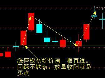 一码一肖，揭秘精准预测的神秘面纱，100%精准背后的秘密,一码一肖100%精准—揭秘精准预测的秘密