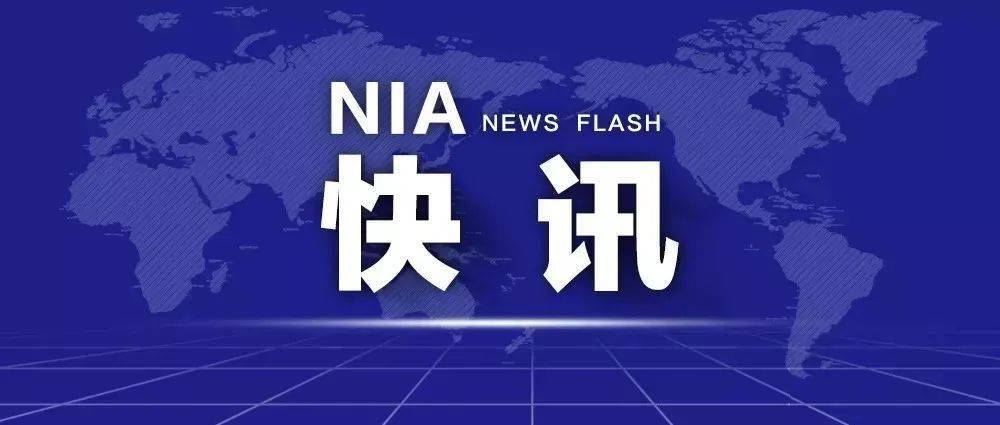 解析与落实，新澳门与香港的未来展望—2025天天精准免费大全,2025新澳门与香港天天精准免费大全,构建解析、解释与落实