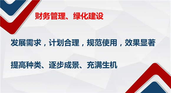 探索未来，澳门免费教育政策全面释义与落实展望（2025年）2025年新澳门全年免费全面释义、解释与落实