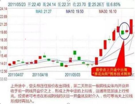 关于2025精准资料最新版的详细解答、解释与落实策略,2025精准资料免费提供最新版详细解答、解释与落实