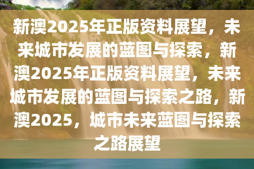 揭秘未来蓝图，新澳2025最准确资料解析与落实策略,2025新澳最准确资料,定量解答解释落实