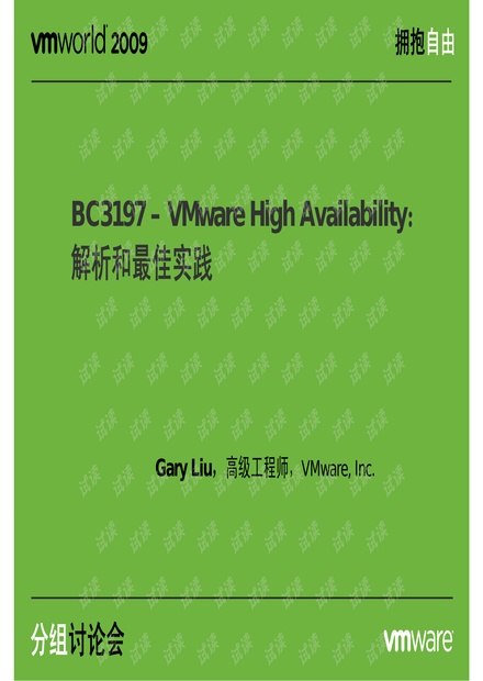 澳门王中王100%期期中，深度解析与实际应用,澳门王中王100%期期中 实用释义、解释与落实