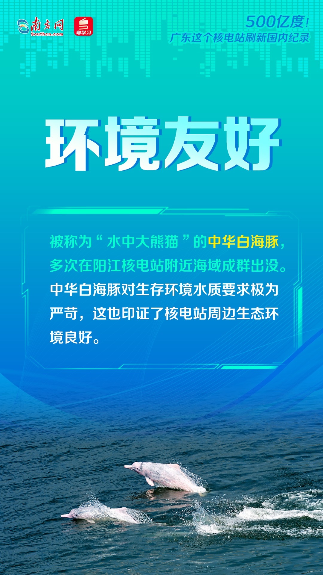 新澳2025资料大全免费，高效回顾方案与经典版内容详解,新澳2025资料大全免费,高效回顾方案_经典版