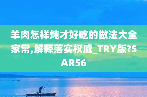 新澳2025年最新版资料概览,新澳2025年最新版资料,新澳2025年最新资料概览