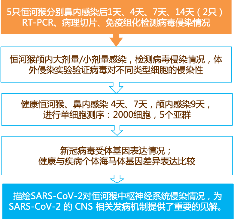 揭秘2025新奥正版资料，深度解读考试释义与免费获取途径,2025新奥正版资料免费提供|考试释义深度解读