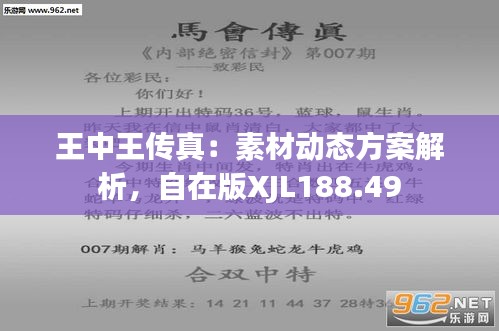 王中王493333WWW马头诗与科学解答解释落实的探索之旅，me59.87.19的启示,王中王493333WWW马头诗,科学解答解释落实_me59.87.19