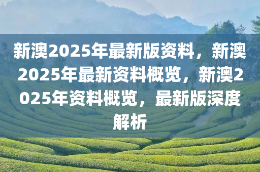 新澳2025年最新版资料，精选解释解析落实之最佳精选,新澳2025年最新版资料:精选解释解析落实|最佳精选