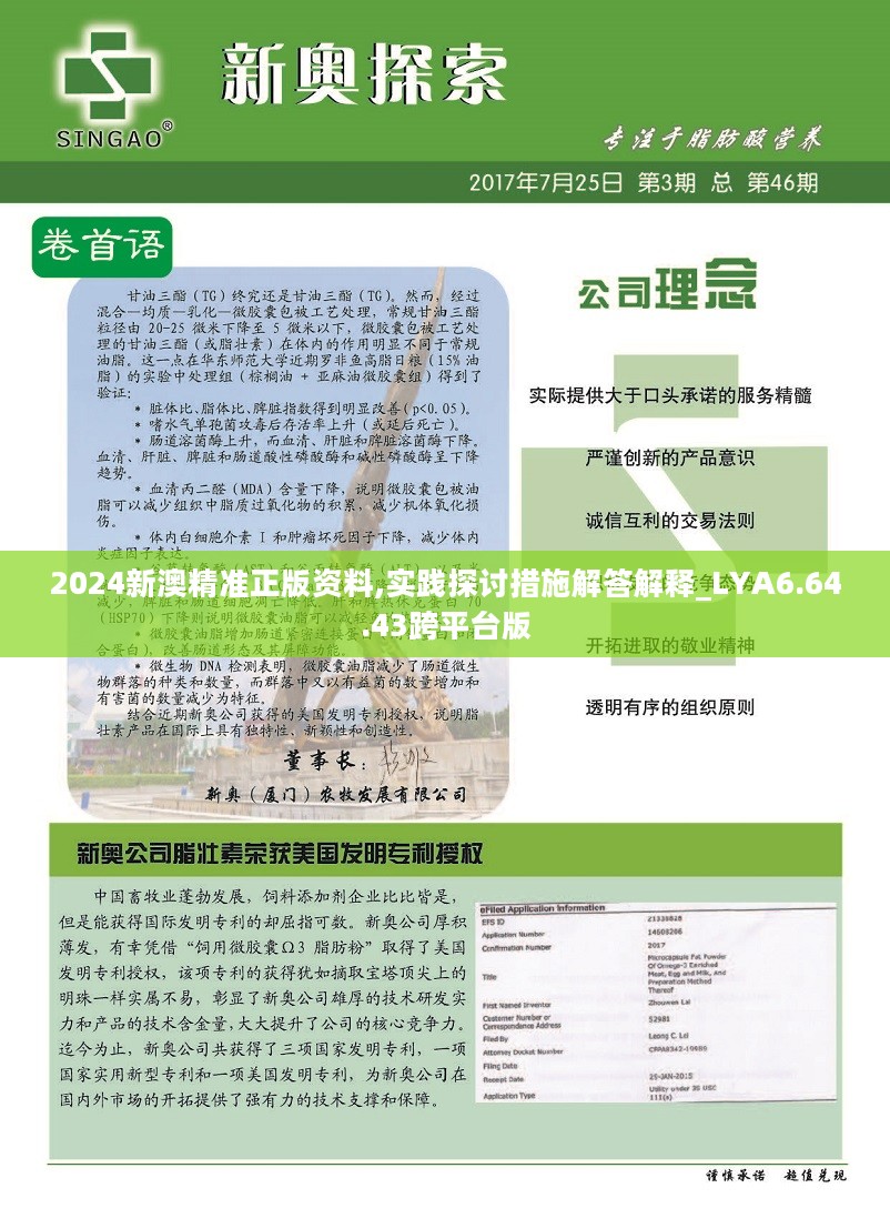 新澳2025年正版资料更新，全面释义解释与落实策略,新澳2025年正版资料更新,全面释义解释与落实策略