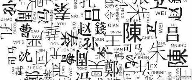 今晚四不像一肖图，解读与落实的独特视角,今晚四不像一肖图今晚四不像吧,构建解答解释落实