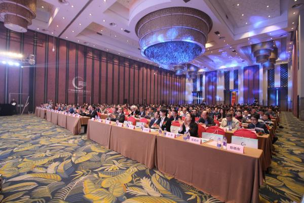 探索未来的澳门与香港，精准发展的蓝图与落实策略,2025新澳门与香港天天免费精准,词语释义、解释与落实