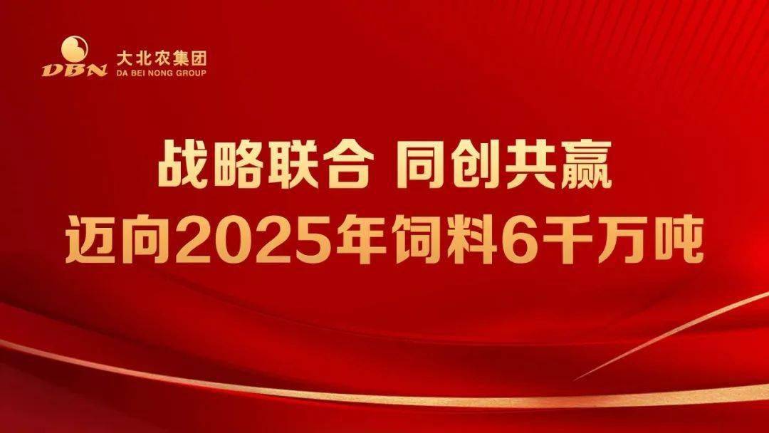 迈向2025，全年免费资料大全的详细解答与全面落实,2025全年免费资料大全,详细解答、解释与落实